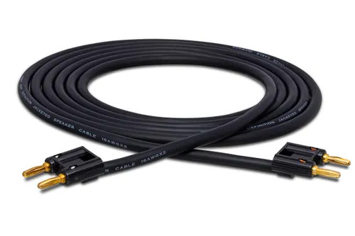 Hosa Technology SKJ-610BB Speaker Cable, Hosa Dual Banana to Same, 10 ft