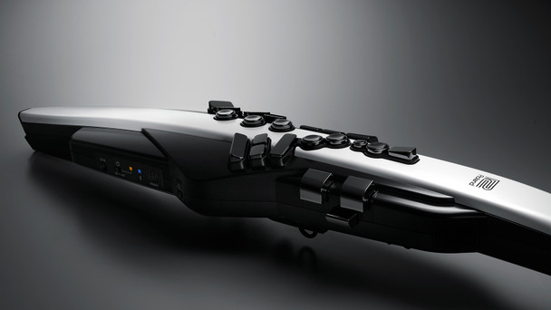 Roland Aerophone AE-20 Digital Wind Instrument with SuperNATURAL Sounds, ZEN-Core Synthesis, Bluetooth Connectivity, USB-MIDI, and Customizable Performance Controls (AE-20)