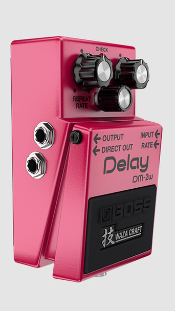 BOSS DM-2W Waza Craft Analog Delay Compact Pedal with All-Analog BBD Circuit, Standard and Custom Modes (DM-2W)