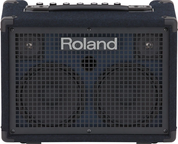Roland KC-220 30-Watt Stereo Keyboard Amplifier – Battery-Powered, 6.5-Inch Speakers, 3-Channel Mixer, DSP Effects, XLR Mic Input, and Auxiliary Input (KC-220)