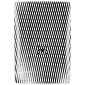 JBL MTC-29MK-WH Marine Kit Aluminum Replacement Grille with WeatherMax™ Backing for Control 29AV Speaker, White, (MTC-29MK-WH)