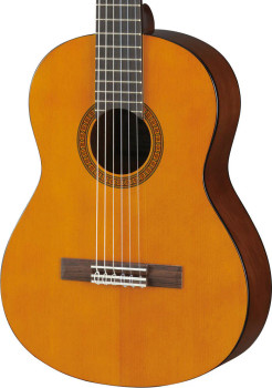 CGS102AII