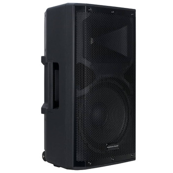 ADJ APX12 GO BT;12" battery powered speaker