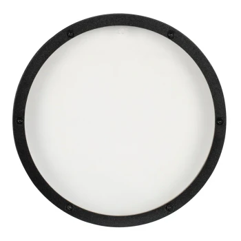 ADJ ELP12L20 20-Degree Frost Filter for LP12IP