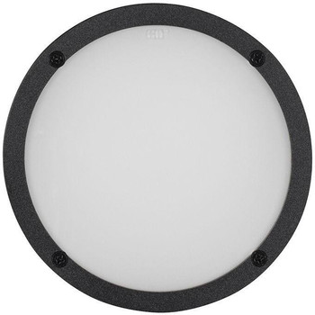 ADJ ELP7L60;60° frost filter accessory