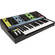 Moog Grandmother Semi-Modular Analog Synthesizer (MOD-GRAND)
