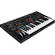 Moog Messenger Monophonic Analog Synthesizer (MESSENGERXUS)