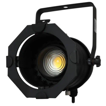 Black Aluminum PAR 30 Light Fixture with Adjustable LED Bulb (LSPAR30B-ZOOM)