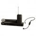 Shure BLX1288/P31-H9 Wireless Combo System with PGA31 Headworn and PG58 Handheld Microphone, H9 Band (BLX1288/P31-H9)