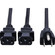 Hosa Technology Dual Power Y-Cable (18 AWG, Black, 1.5')