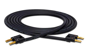 Hosa Technology SKJ-6100BB Speaker Cable, Hosa Dual Banana to Same, 100 ft