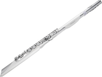 Roland Aerophone Brisa Digital Wind Instrument with SuperNATURAL Winds Sound Engine, 100 Built-In Tones, Bluetooth MIDI, USB-C Audio/MIDI, and Flute-Style Performance Controls (AE-BRISA)