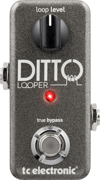 TC Electronic Guitar Ditto Looper Effects Pedal