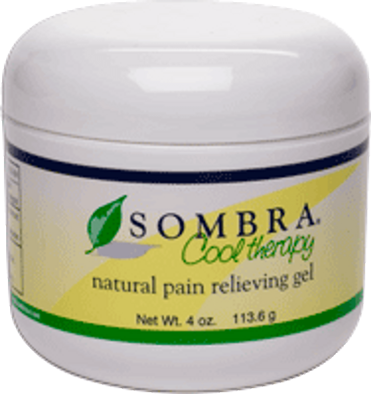 Pain Relieving Gel (4 oz.)