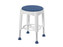 swivel shower stool