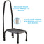 Step Stool with Hand Rail