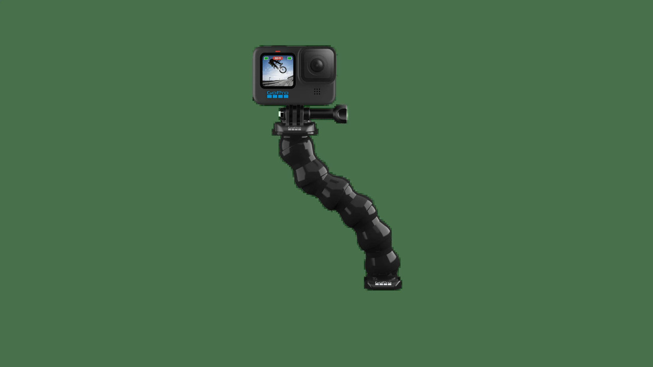 GoPro Gooseneck