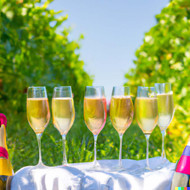 Champagne vs. Sparkling Wine: Key Differences in Production and Flavor