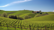 Napa to Sonoma: The Best California Wine Regions to Order Online