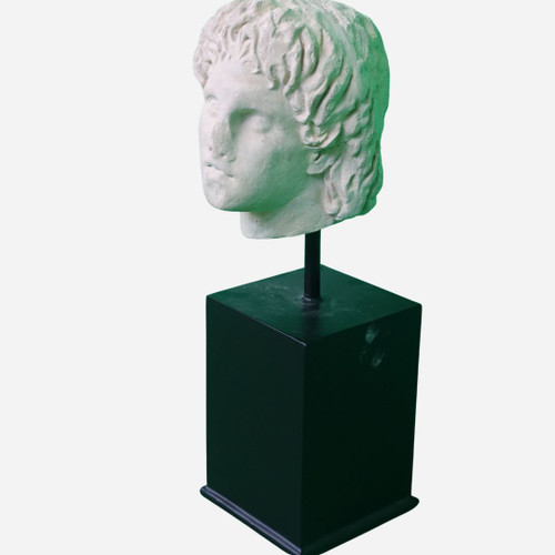 Alexander Head with Broken Nose~Metal Stand