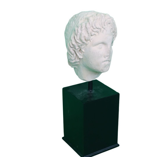 Alexander Head with Broken Nose~Metal Stand