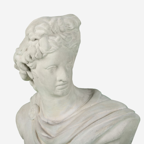 Apollo Bust