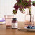 Glucose Control, 60 Capsules, by Pendulum, image #5