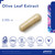 Pure Encapsulations Olive Leaf Extract - 120 capsules Pure Encapsulations Olive Leaf Extract - 120 capsules