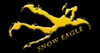 Snow Eagle