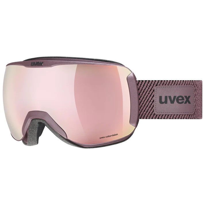 UVEX Downhill 2100 CV Planet Goggle | Race Werks