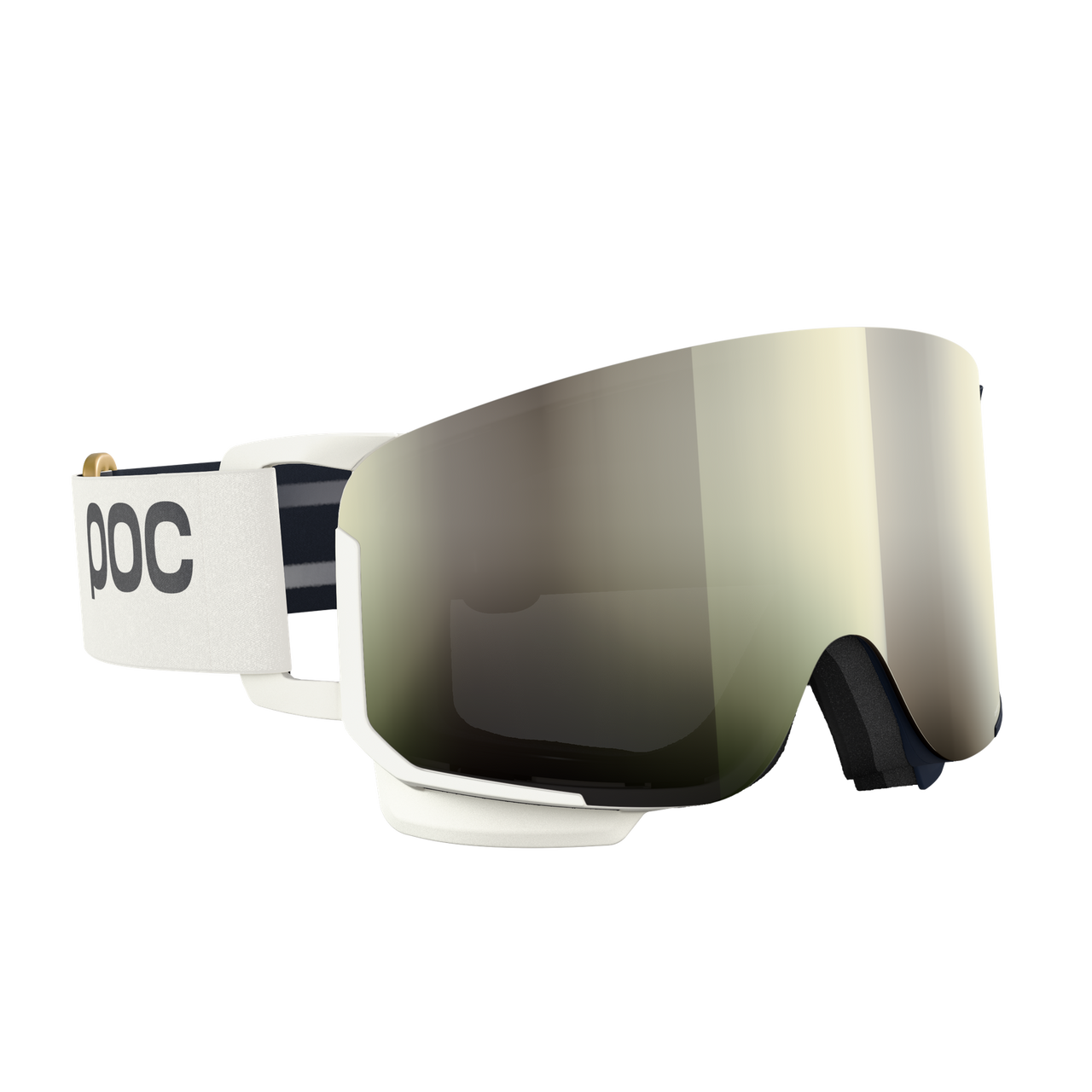 POC Nexal Ski Goggles | Race Werks