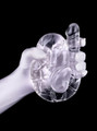 Crystal-clear double dildo gripped with hand showing texture