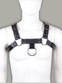 Front view of all-black chest harness with adjustable buckles and metal rings