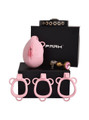pink resin vagina chastity cage set with belt, rings, lock, keys, and gold plug displayed with black gift box
