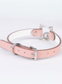 Pink adjustable cat collar buckle detail