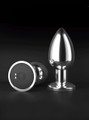 Apex Vibrating Aluminum Alloy Butt Plug with a sleek, polished finish, streamlined design, and flared base, accompanied by a remote control for wireless operation and quiet vibrations.