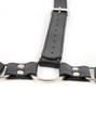 Detailed shot of the metal buckle and ring on the harness