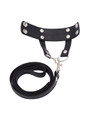 Full set of the ball stretcher with a detachable black leash.
