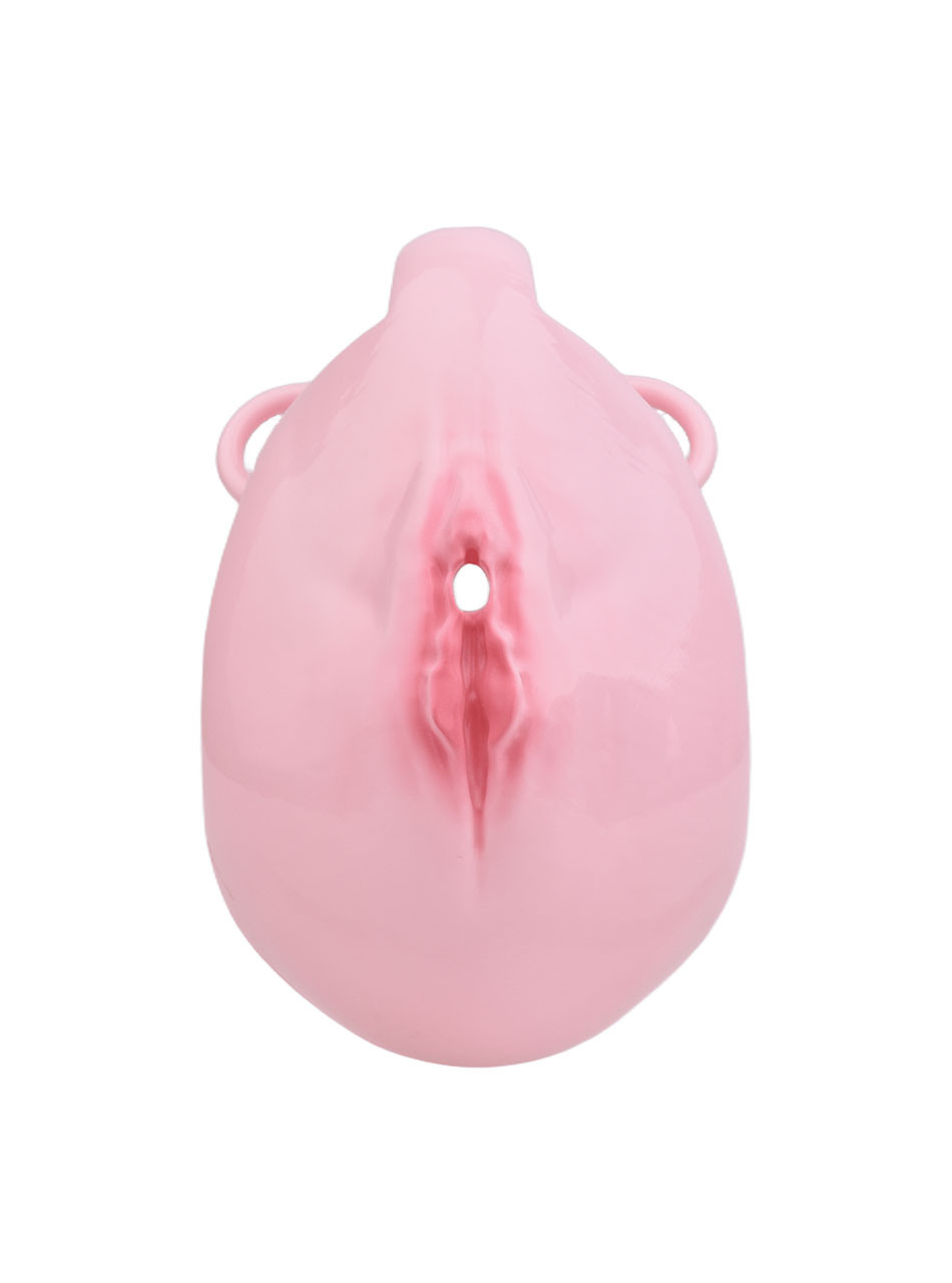 pink resin vagina chastity cage front view with realistic sculpted detail