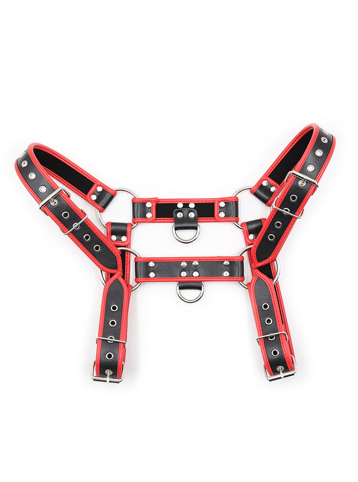 Flat display of red-trim chest harness with metal accents