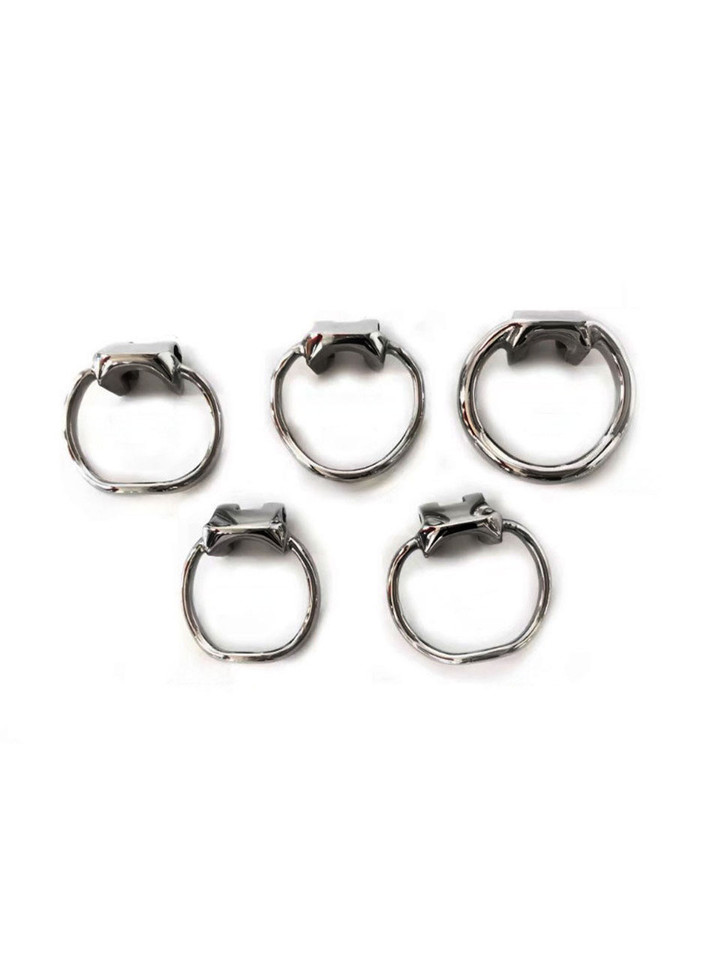 The Guardian's Embrace Stainless Steel Chastity Cage with Hollow Penis Plug