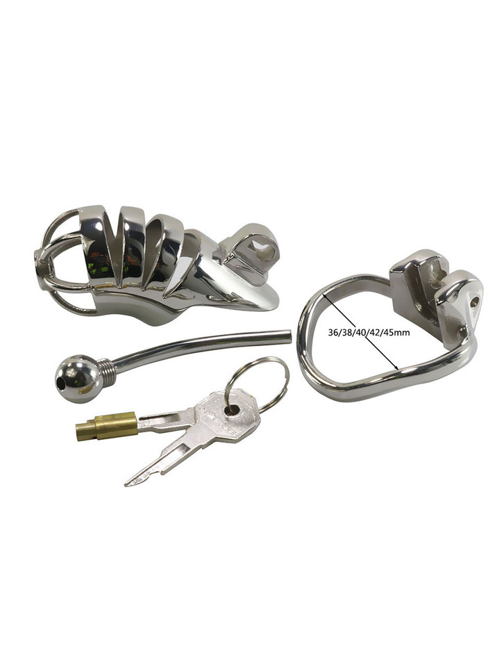 The Guardian's Embrace Stainless Steel Chastity Cage with Penis Plug