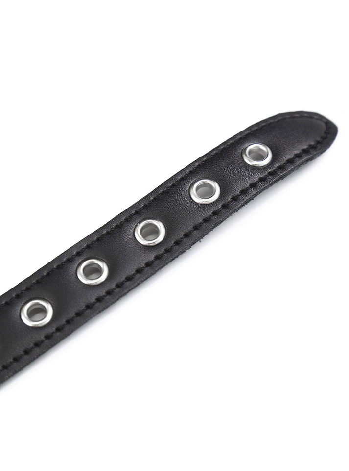 The Silence Seducer Silicone Penis Gag