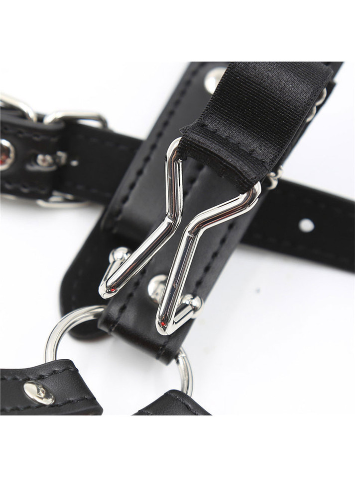 Head Harness with Red Ball Gag & Nose Hook