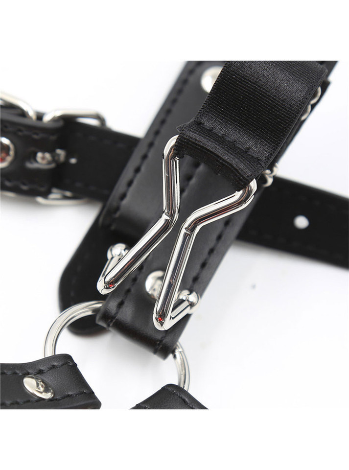 Head Harness with Hot Pink Ball Gag & Nose Hook
