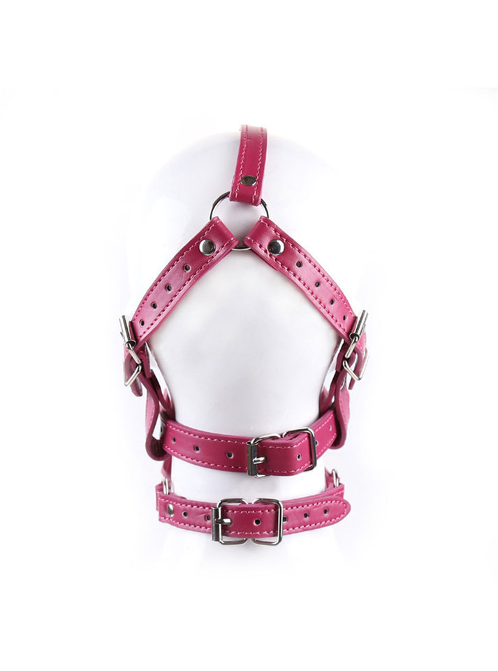 Pink Solid Ball Gag Mask with Head Harness
