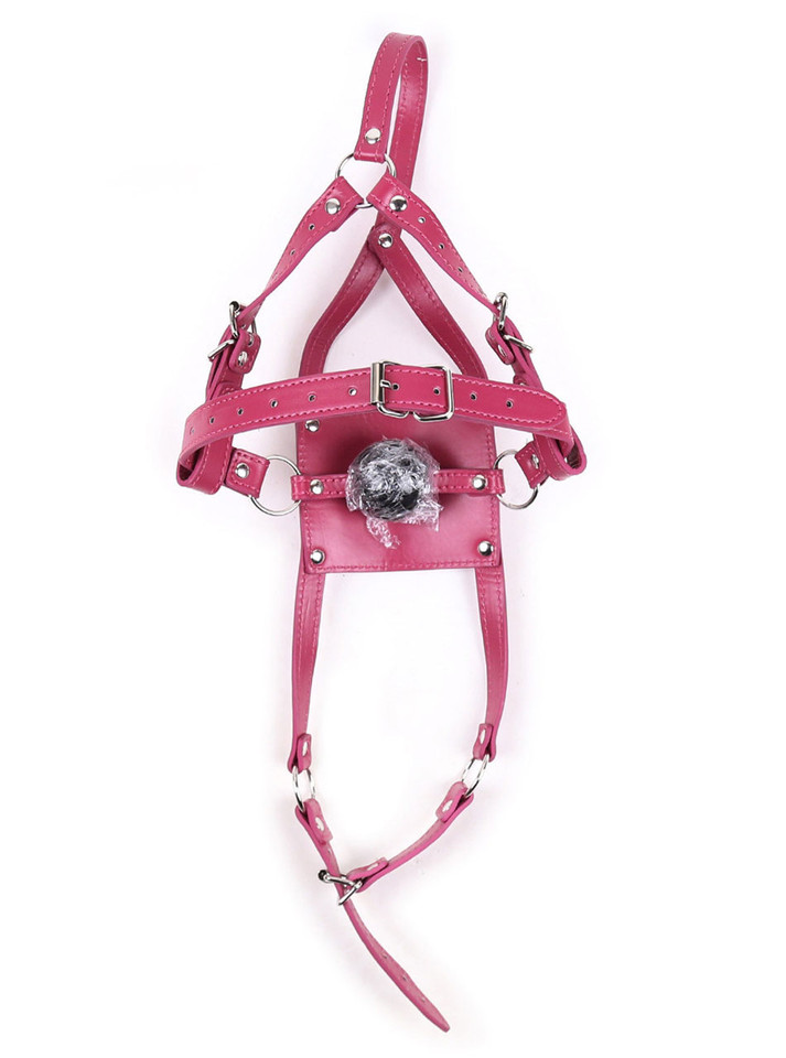Full view of the Ball Gag Mask with all straps and buckles.