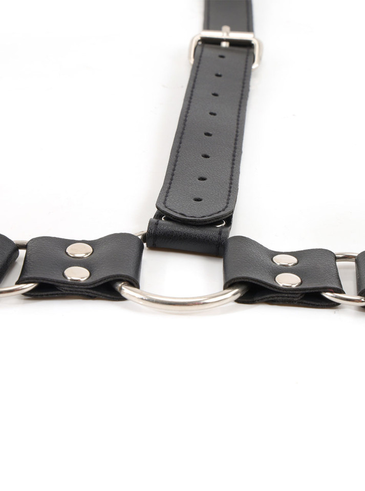 Detailed shot of the metal buckle and ring on the harness
