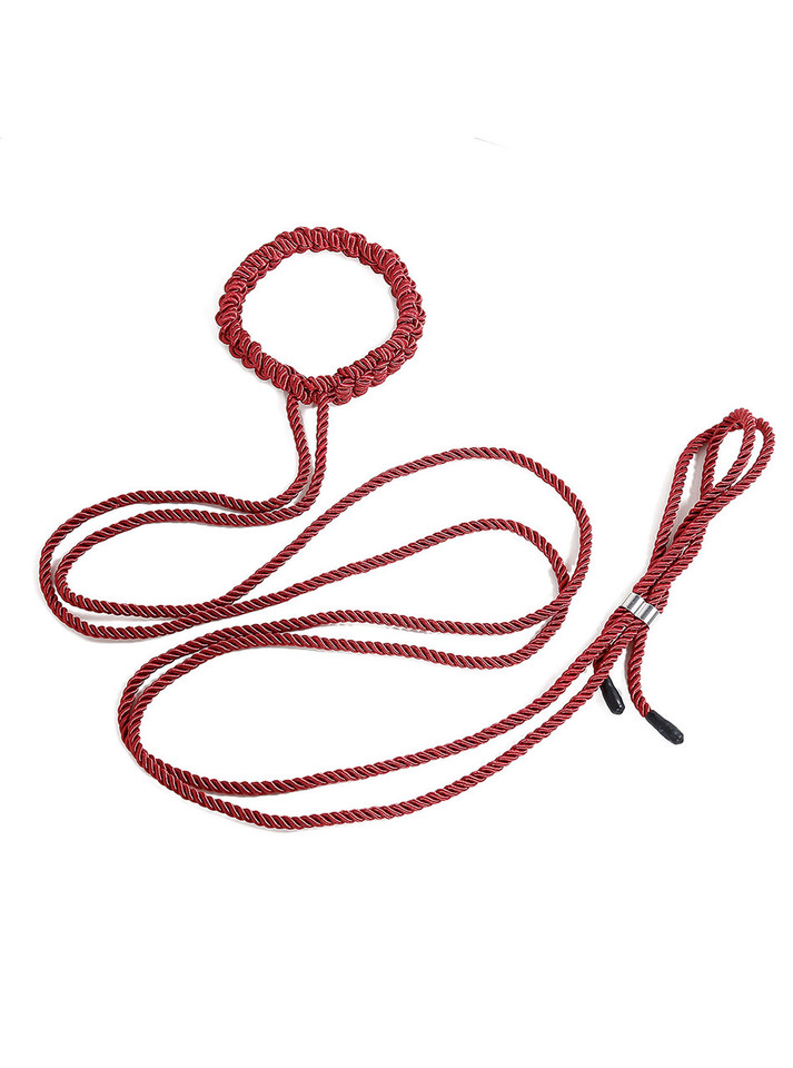 Full set showing the red rope collar with a long leash attached