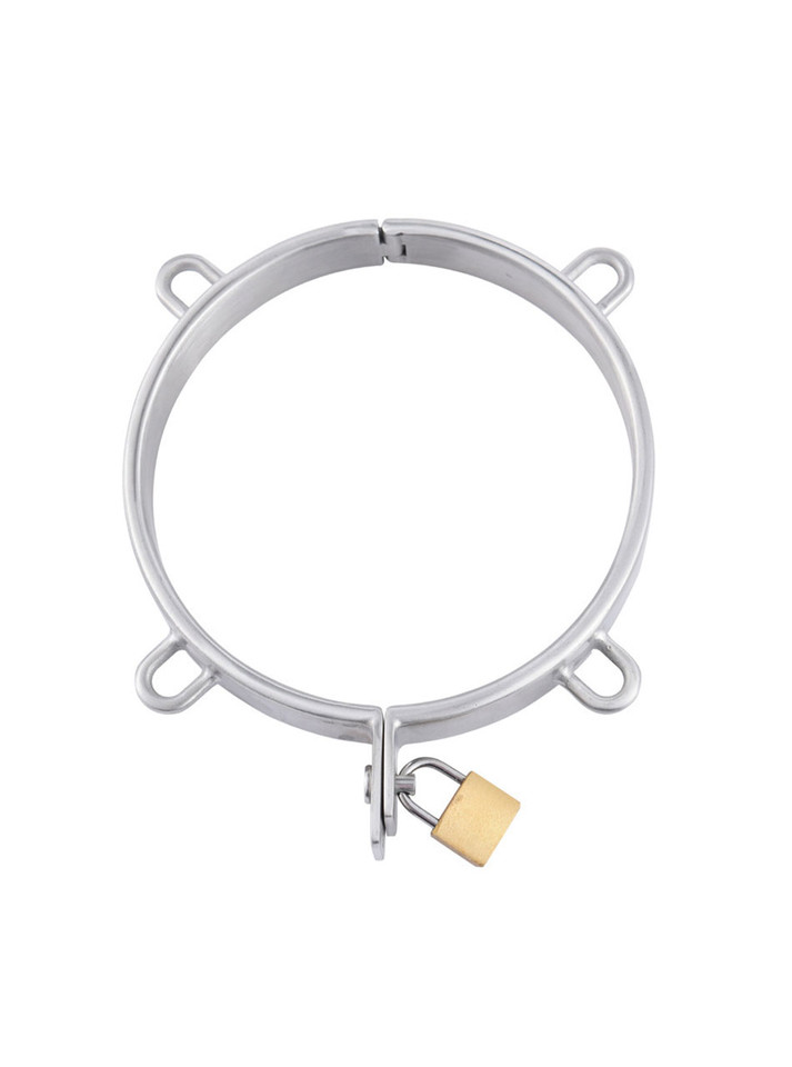 Top-down view of the four-loop collar showcasing the design and polished finish.